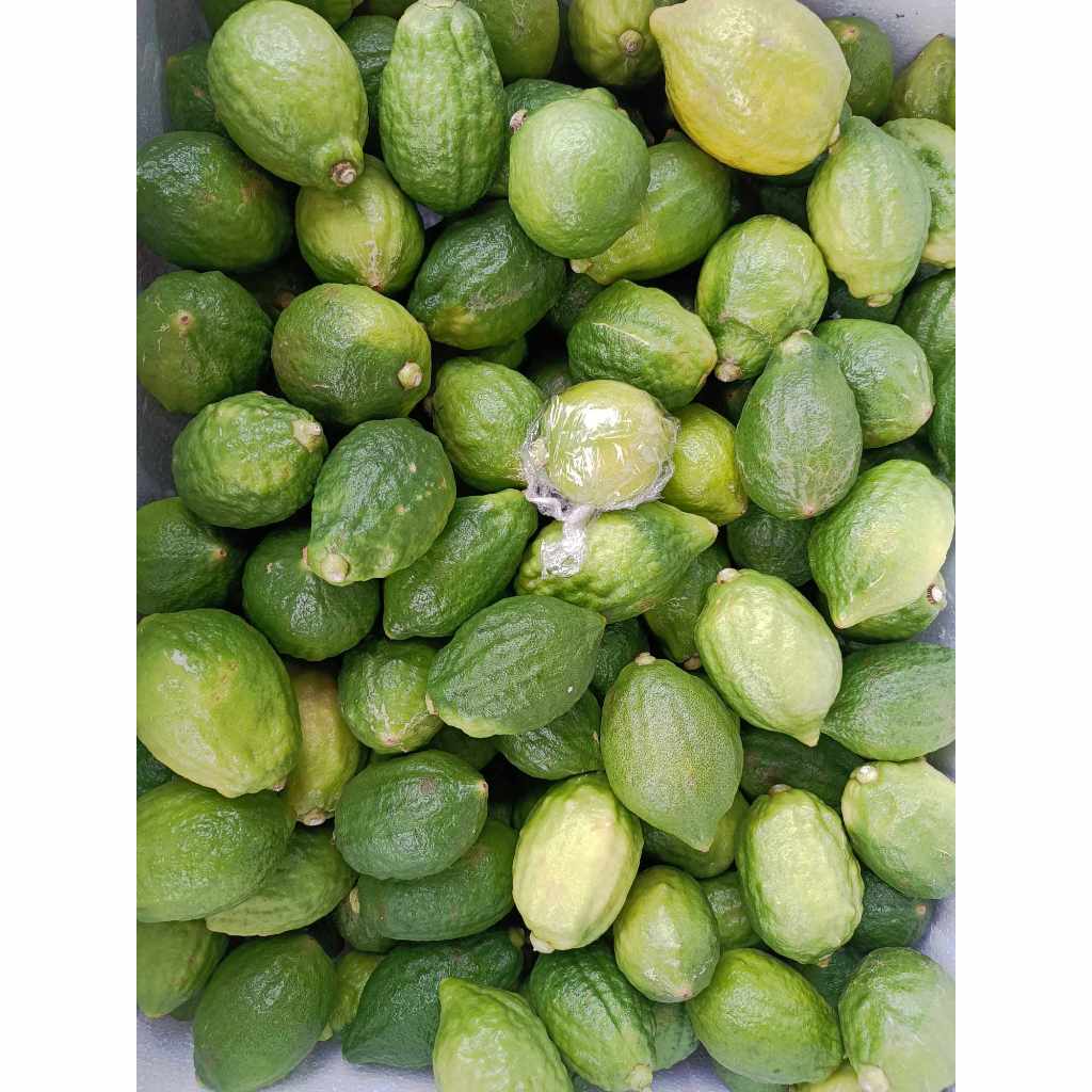 Chanh nước hoa XANH NGON LOẠI 1,chanh quảng đông tươi siêu thơm ngon làm trà chanh giã tay