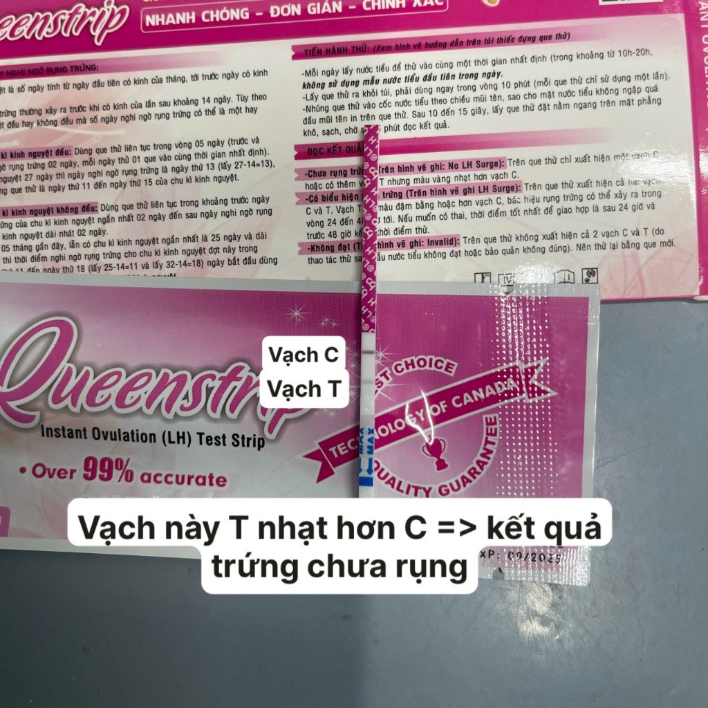 Que thử rụng trứng Queenstrip