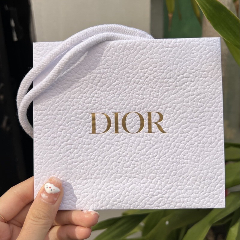 Túi giấy Dior chính hãng size vuông