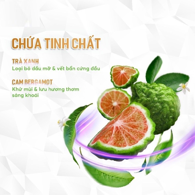 Combo 3 Áo Thun Trắng Đa Năng MaxKleen