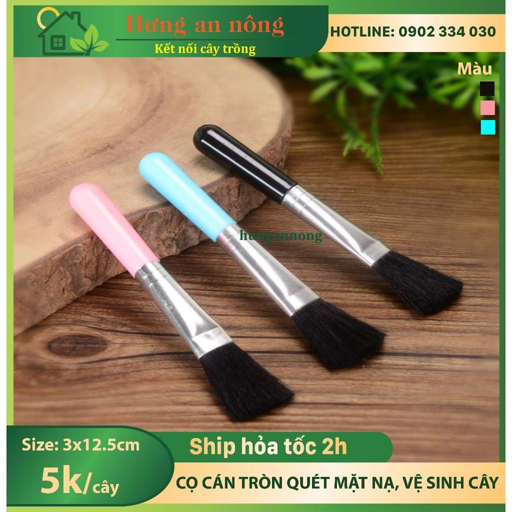 Cọ tròn quét mặt nạ và vệ sinh thay chậu cảnh rất tiện size tròn màu hồng xanh đen