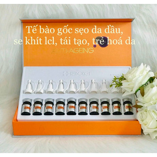 Tế bào gốc sẹo bsf 12 reborn cell hàn quốc