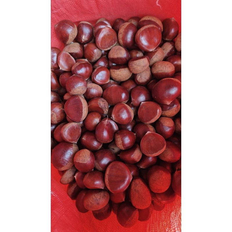 Hạt dẻ loại to 1kg