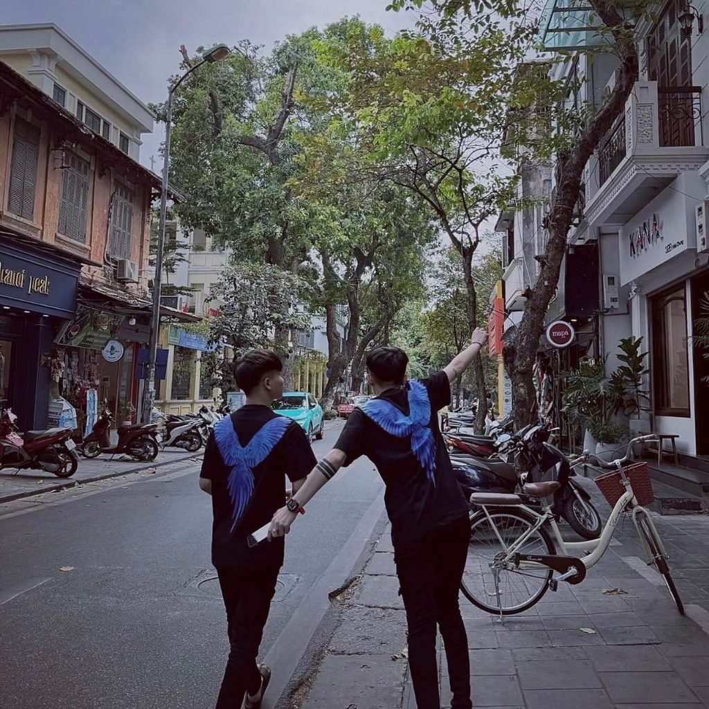 Áo thun, áo phông in hình đại bàng hàng cao cấp cho các boy phố