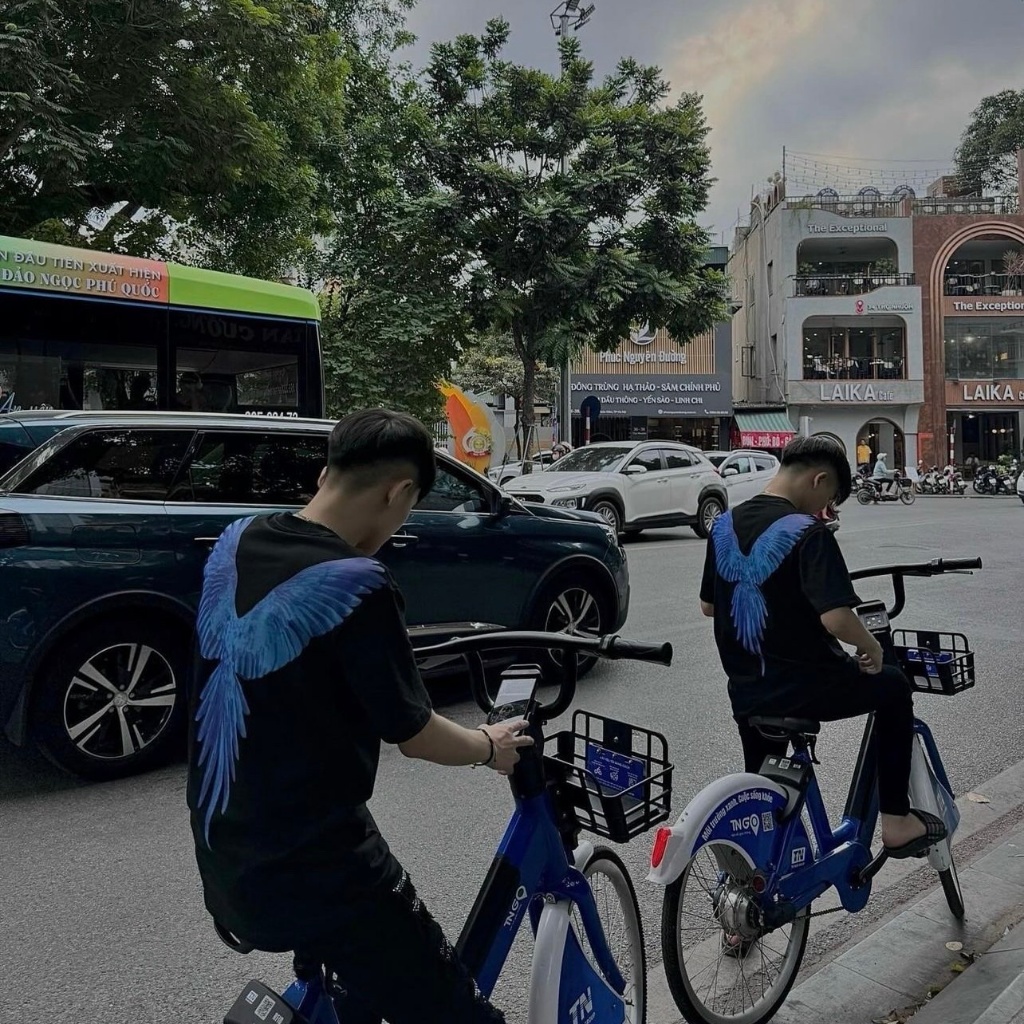 Áo thun, áo phông in hình đại bàng hàng cao cấp cho các boy phố