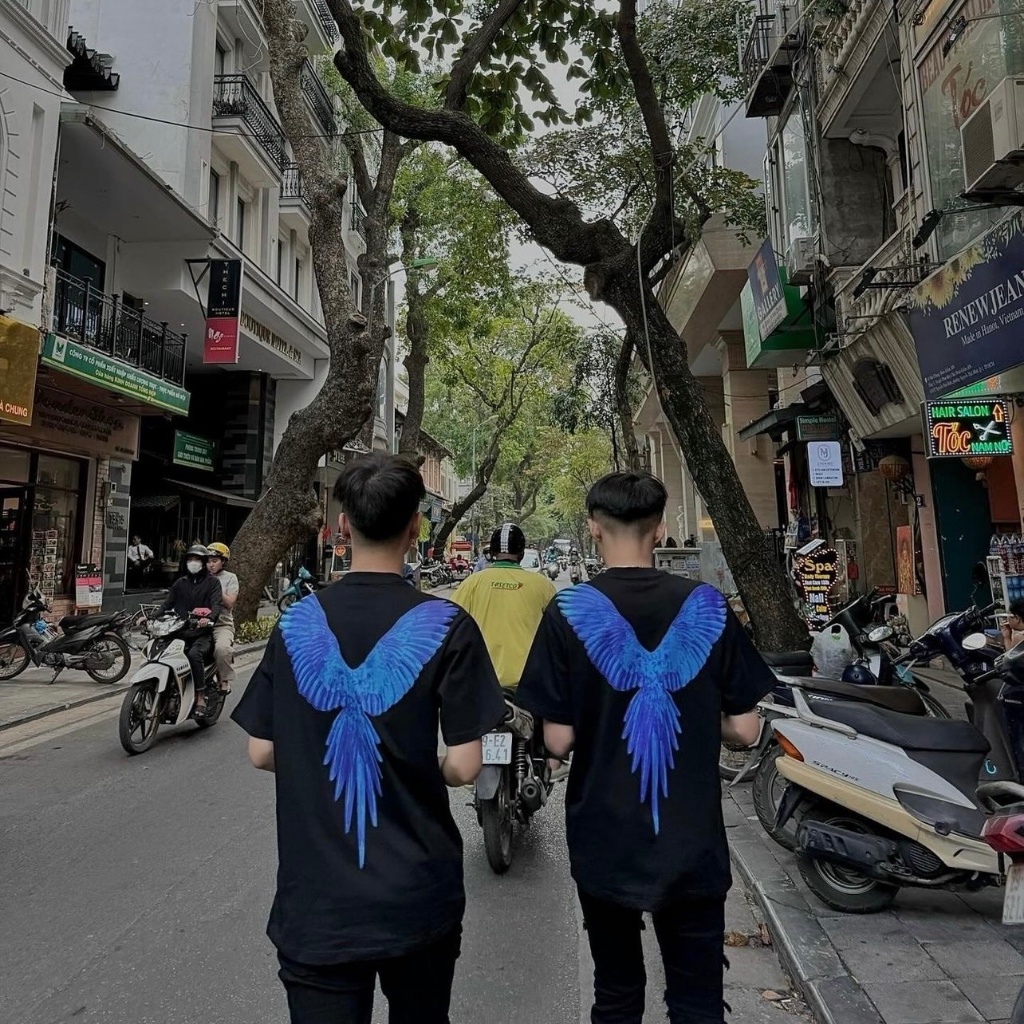 Áo thun, áo phông in hình đại bàng hàng cao cấp cho các boy phố