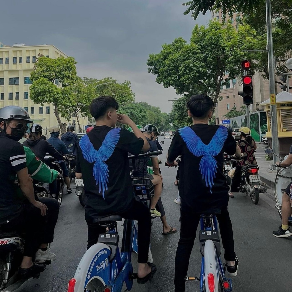 Áo thun, áo phông in hình đại bàng hàng cao cấp cho các boy phố