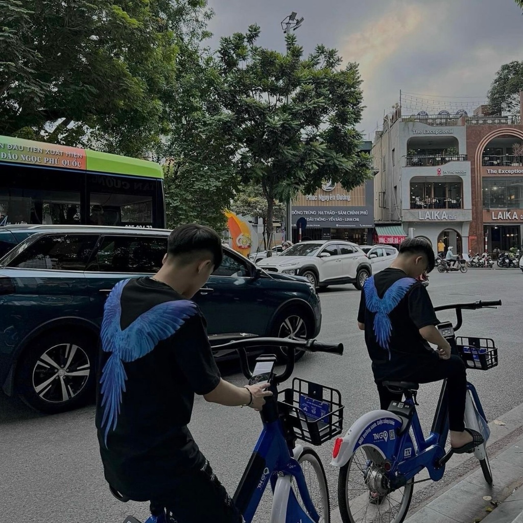 Áo thun, áo phông in hình đại bàng hàng cao cấp cho các boy phố
