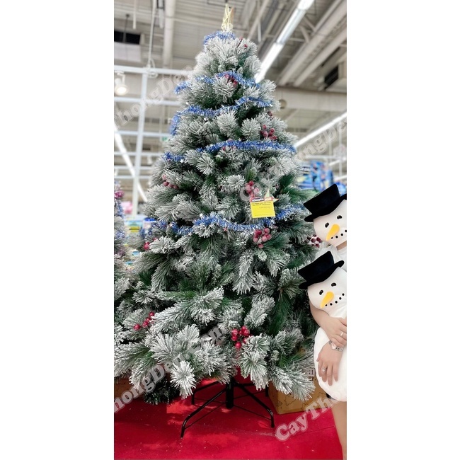 Cây Thông Noel Phủ Tuyết Trang Trí Noel Giáng Sinh1m2, 1m5, 1m8, 2m, 2m4, 3m Hàng Việt Nam Cao Cấp 2023