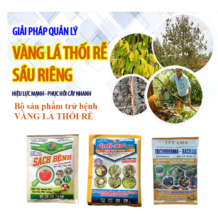 Bộ sản phẩm trừ bệnh VÀNG LÁ THỐI RỄ TRÊN SẦU RIÊNG (sb30.5g +anti xo 30g + bokashi 150g)