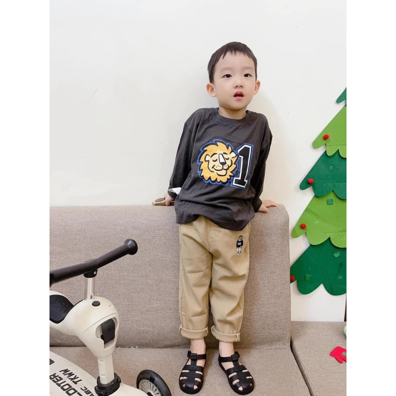 SET 3 ÁO GIỮ NHIỆT HÌNH CÁO , SƯ TỬ