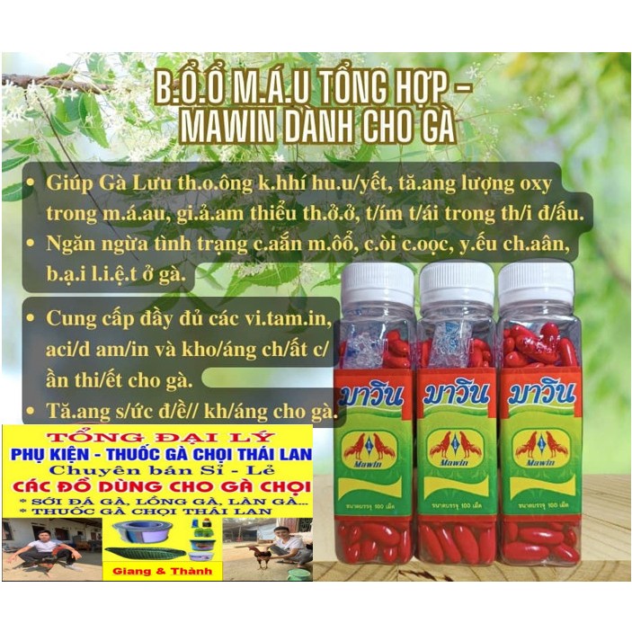 Bổ Máu Maxwin cho gà chiến