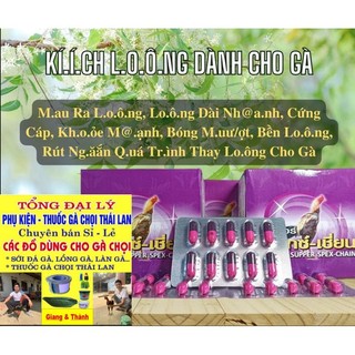 Kích mọc lông cho gà - giúp thay lông nhanh 1 vỉ