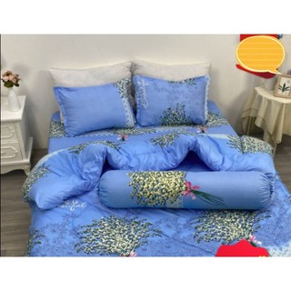 [SIÊU RẺ] Chăn (mền) Poly Cotton chần bông 2 mặt