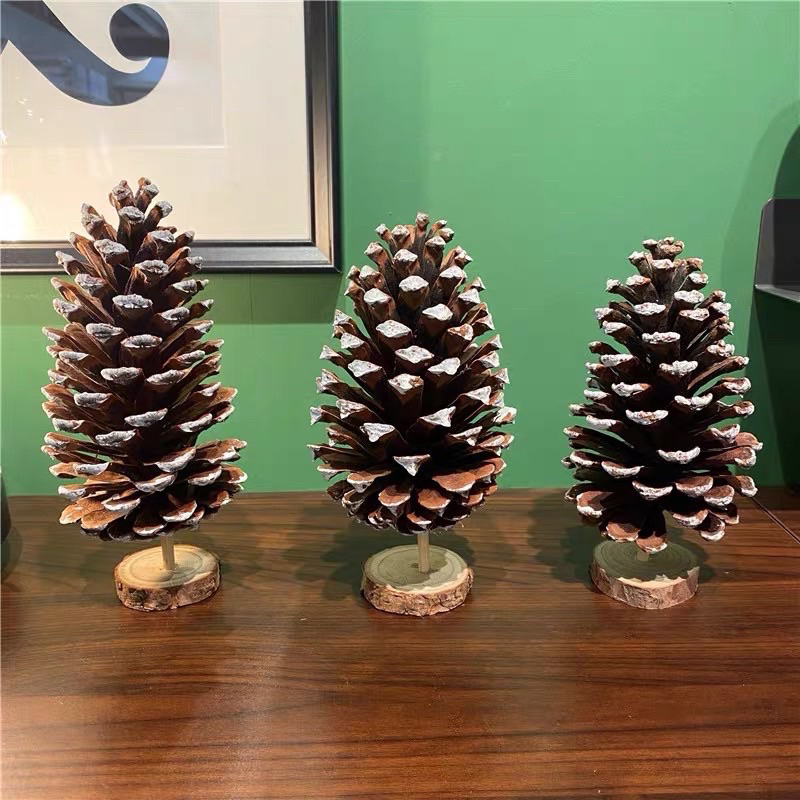 Quả thông  khô trang trí