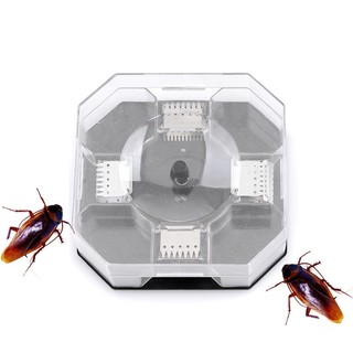 Hộp bẫy gián thông minh ,size to ,không hóa chất kèm theo 2 gói mồi