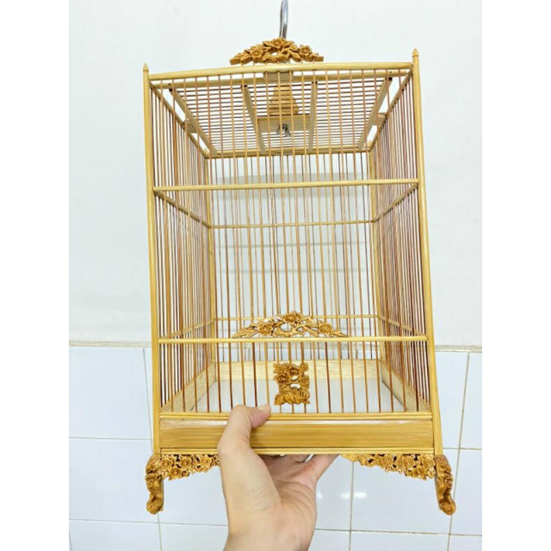 Khung hút mật, chim sâu tự giáp