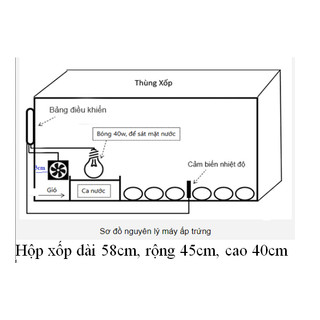 Máy ấp trứng mini tự chế nhiệt độ chuẩn(sẵn hàng)