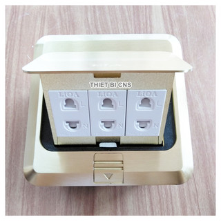Ổ cắm âm sàn LiOA - 3 Ổ 2 chấu, vỏ đồng nguyên khối - Chính hãng
