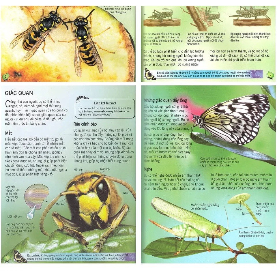 Sách thiếu nhi - Bách khoa tri thức về khám phá thế giới cho trẻ em