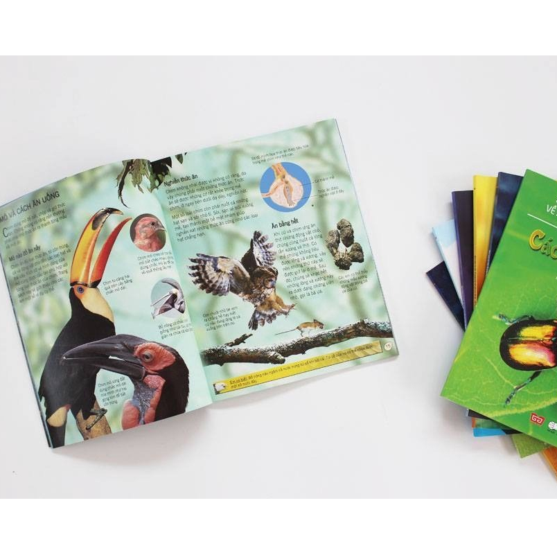 Sách thiếu nhi - Bách khoa tri thức về khám phá thế giới cho trẻ em