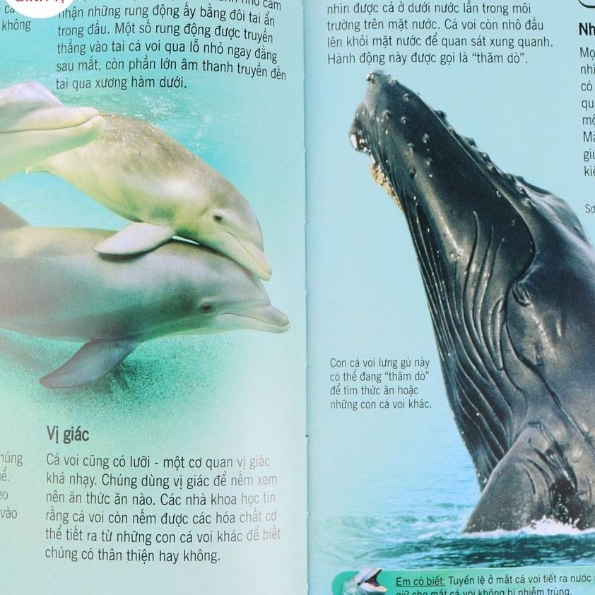 Sách thiếu nhi - Bách khoa tri thức về khám phá thế giới cho trẻ em