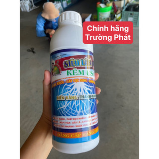 Siêu lân kẽm usa kích rễ cực mạnh, bung chồi xanh cây cực nhanh siêu lân kẽm usa
