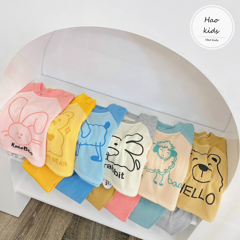 Bộ tăm giáp thân phối màu cho bé