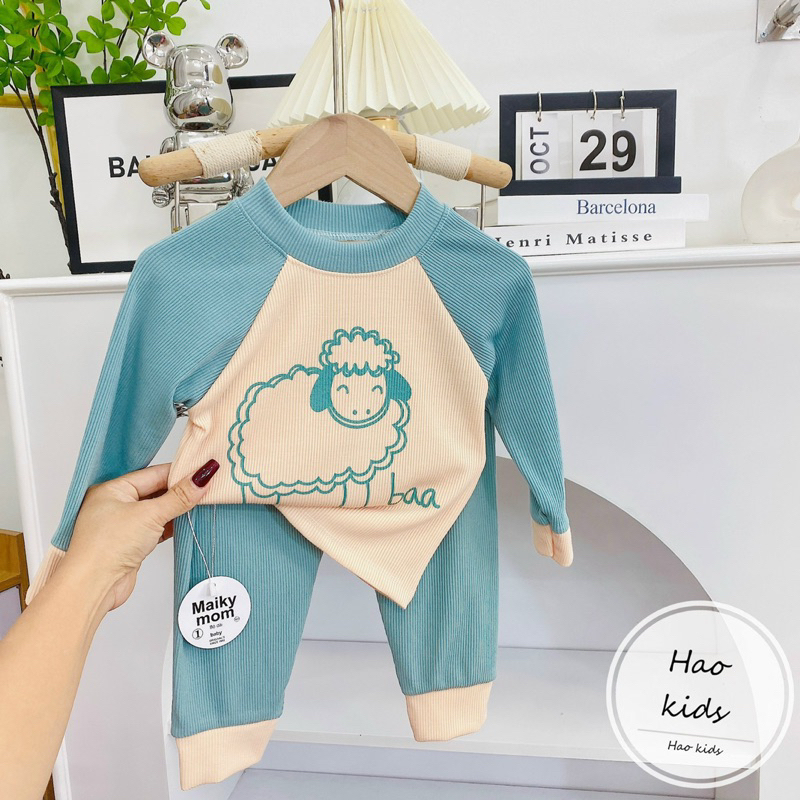 Bộ tăm giáp thân phối màu cho bé