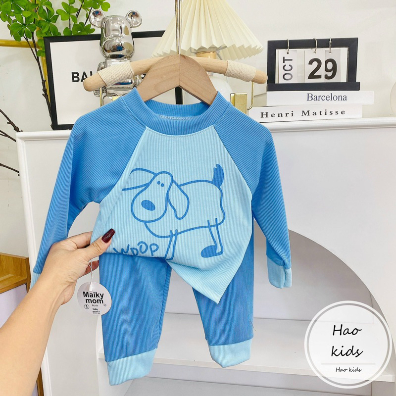 Bộ tăm giáp thân phối màu cho bé