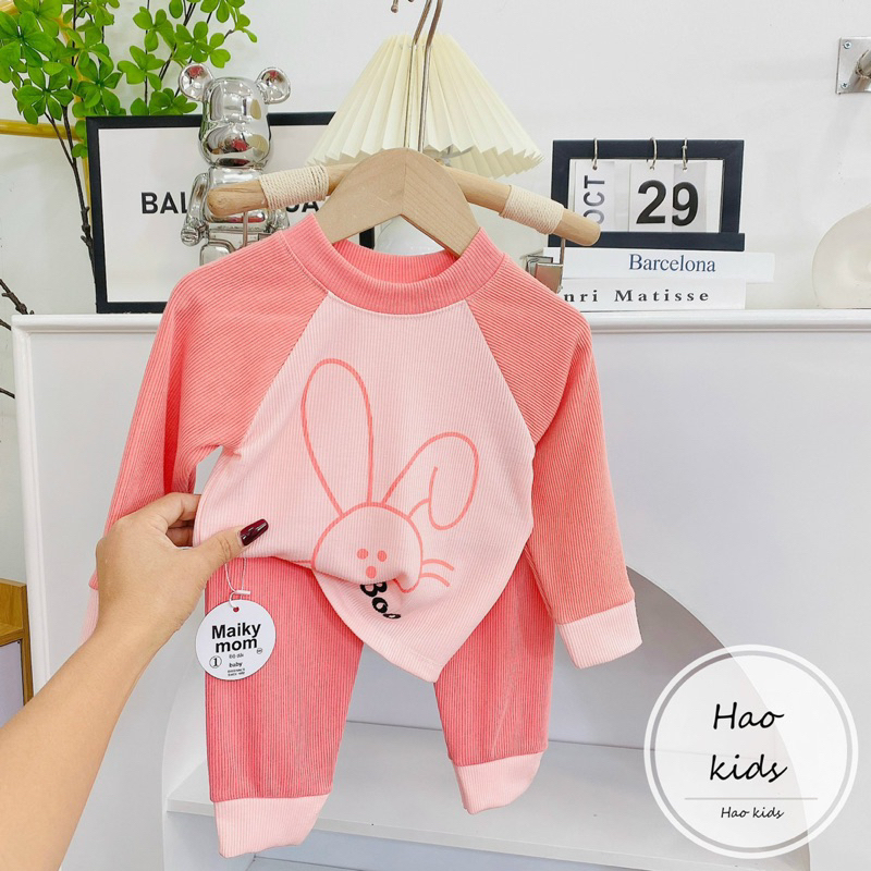 Bộ tăm giáp thân phối màu cho bé