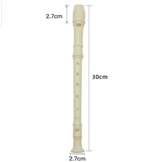 Sỉ Rẻ Sáo dọc recoder 8 lỗ bấm