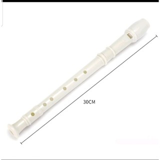 Sỉ Rẻ Sáo dọc recoder 8 lỗ bấm