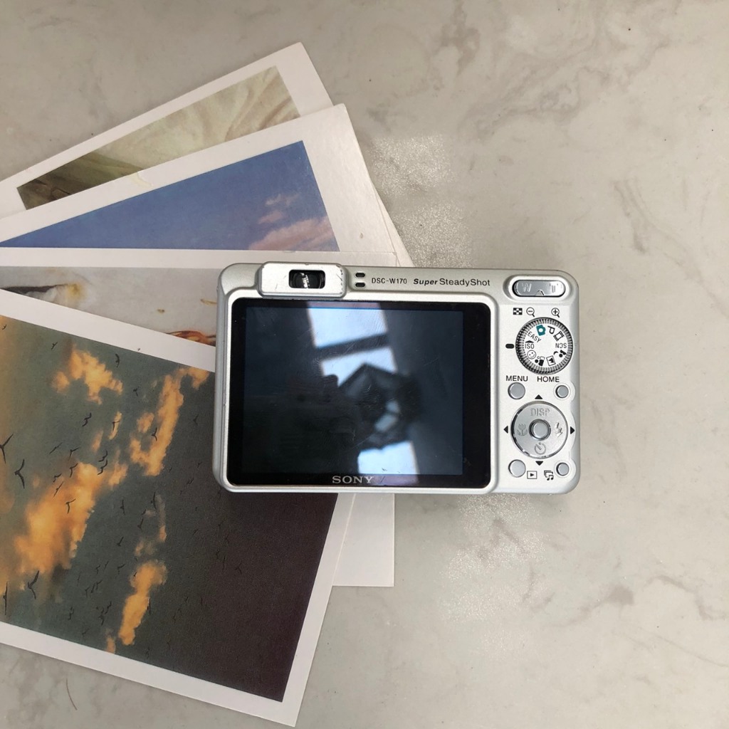 Máy ảnh compact Sony Cybershot DSC W179 10MP