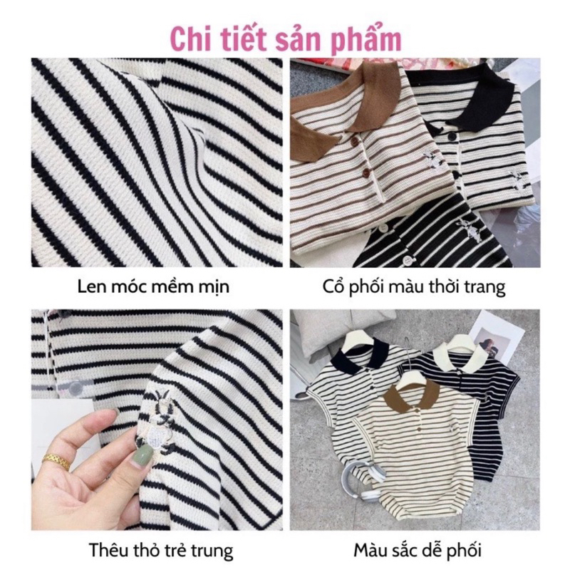 ÁO POLO MONTOGHI XỊN QCCC 3 MÀU SIU XINH