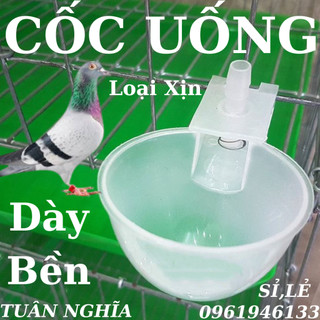 Máng uống tự động cho chim bồ câu hiệu quả nhất