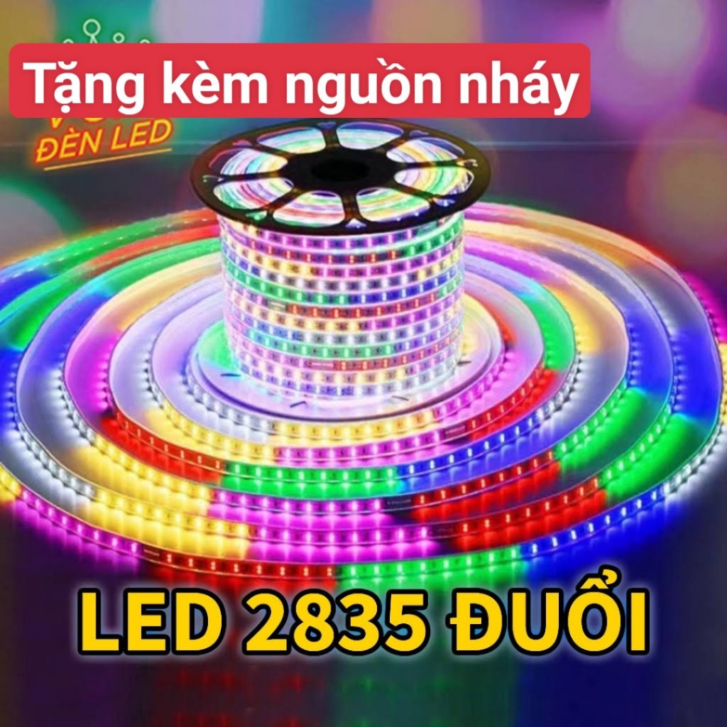 Led Dây 2835 Nhiều Màu Đuổi, Led Đúc Chống Nước Trang Trí (sét 5m, 10m,20m,25m,30m) Tặng Kèm Nguồn Đuổi