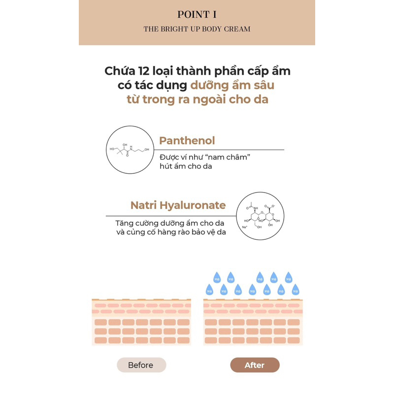 Kem dưỡng trắng da và chống lão hóa body The Bright Up Body Cream 500ml