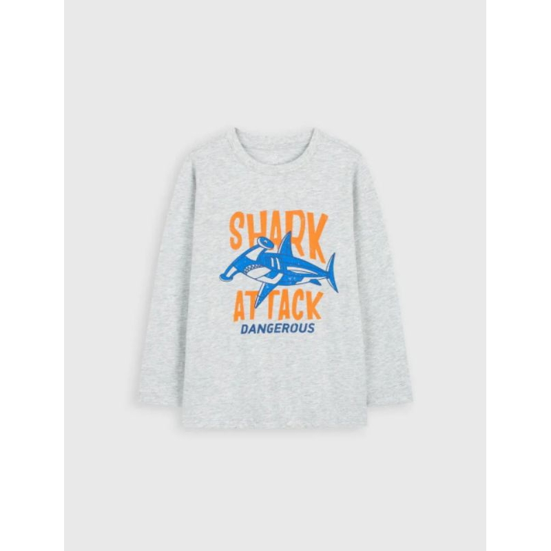 Áo phông dài tay bé trai Canifa