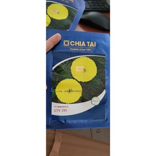 Hạt giống hoa vạn thọ f1 chia tai vàng ctv 295