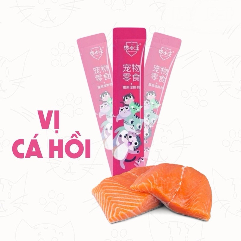 Combo 50 Súp Thưởng Thơm Ngon Cho Mèo Gói 15g