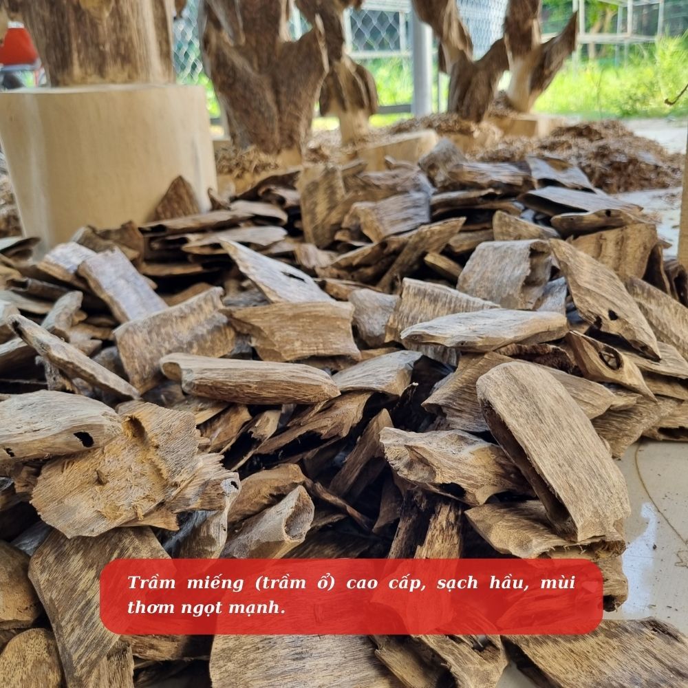 Giác Trầm Hương Xông Nhà, Trầm Hương Miếng Tự Nhiên Cao Cấp Thiện Phát