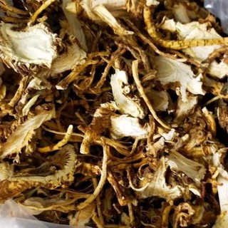 Sâm đương quy khô 1 kg