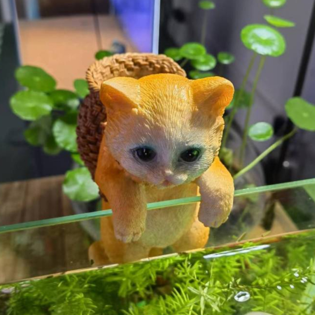 Mô Hình Mèo Bám Thành Bể Cá Trang Trí Bể Cá Cảnh, Bể Thủy Sinh