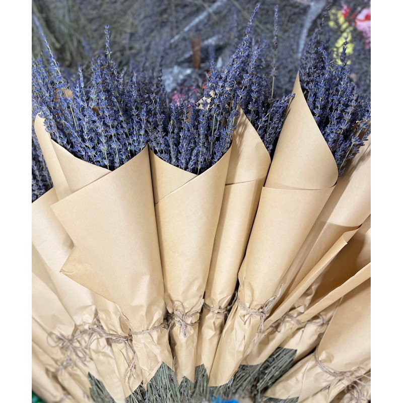 Hoa Lavender khô