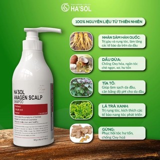 DẦU GỘI GIẢM RỤNG ,BẠC TÓC, KÍCH MỌC TÓC[ CHÍNH HÃNG ]