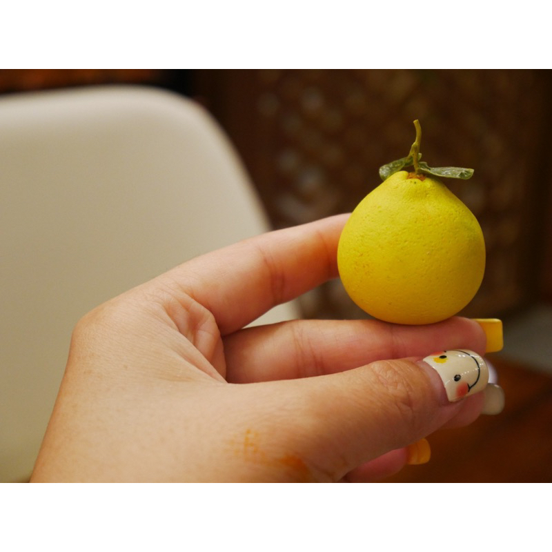 Trái bưởi thu nhỏ bằng đất sét