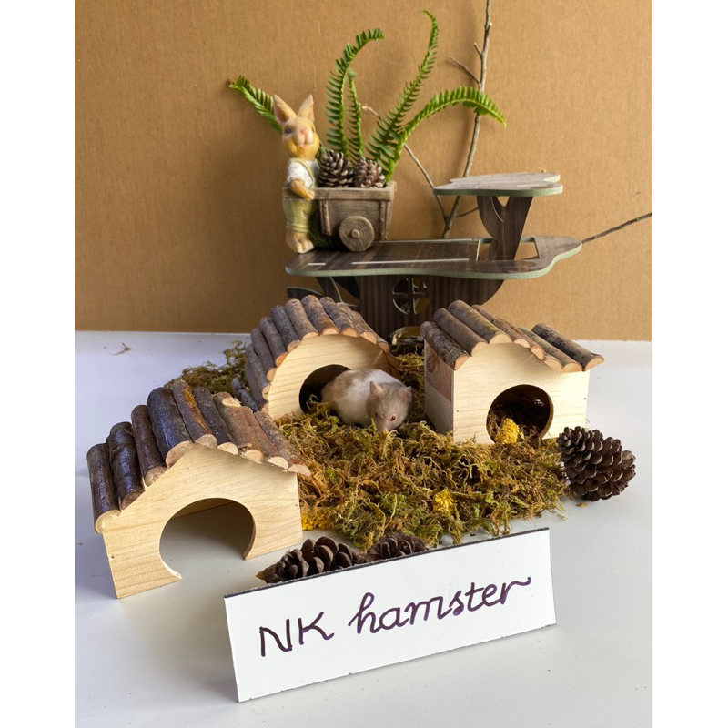 Nhà gỗ lớn cho hamster nhà gỗ cho hamster bear nhà hamster gỗ thông thiên nhiên