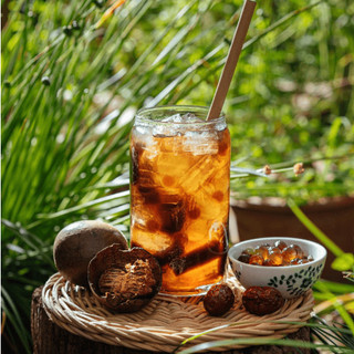 Hạt giống cây la hán quả - 3 hạt