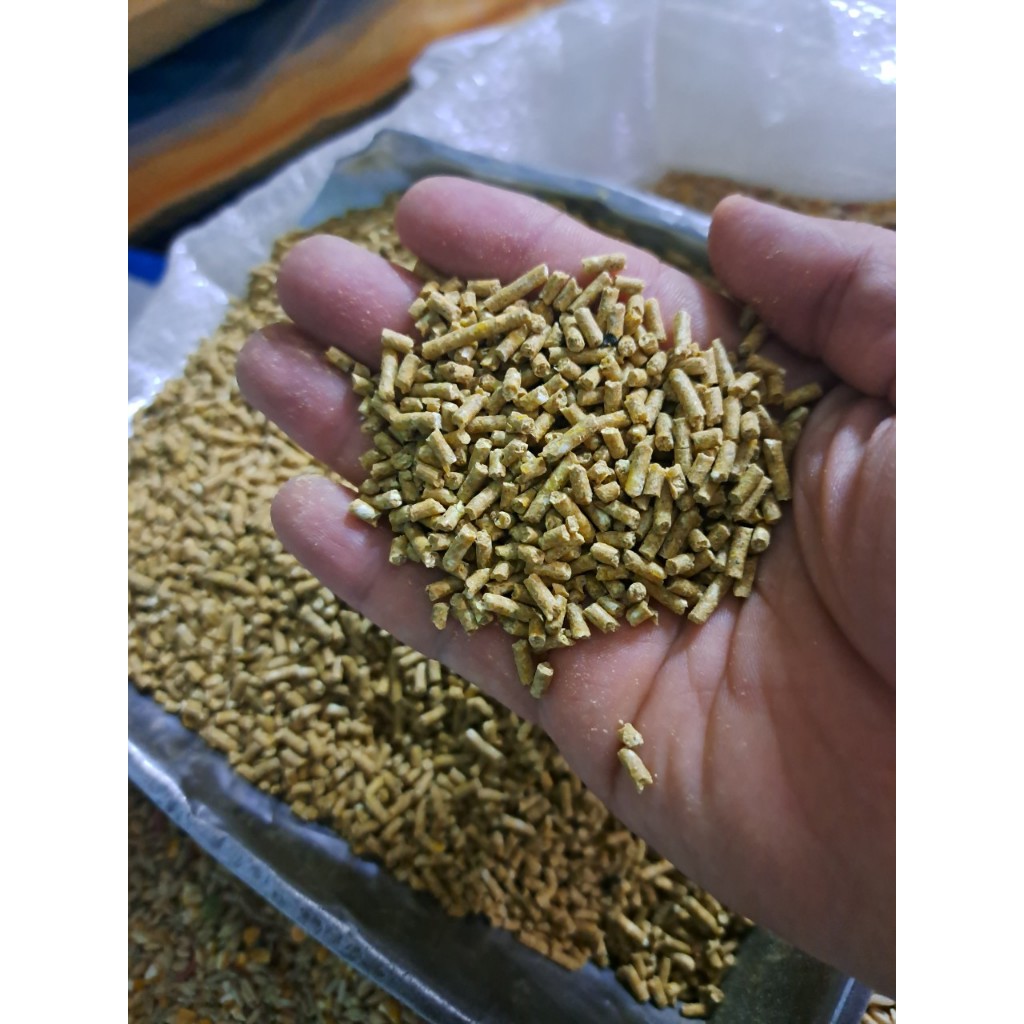 Cám gà lớn De heus 6609P  với 16 độ đạm gà ăn nhanh lớn, thịt chắc khỏe, không tích mỡ trong cơ đóng túi 1kg